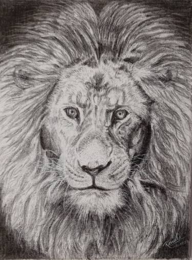 Original Fine Art Animal Drawings by Ronald De Silva