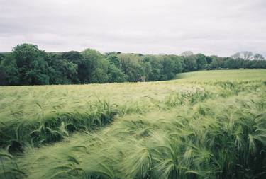 Original Documentary Nature Photography by Ari Shaves