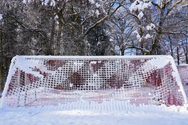 Print of Photorealism Seasons Photography by Michael Nguyen