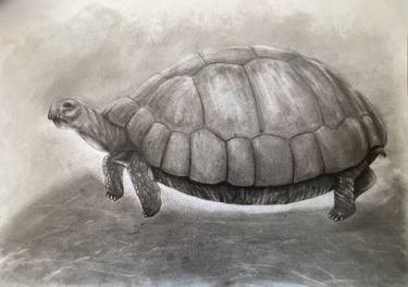 Original Animal Drawings by Elena Semina