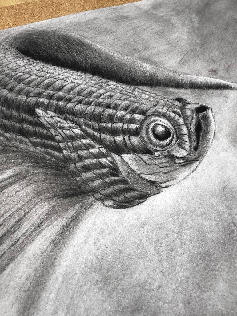 Original Surrealism Fish Drawing by Elena Semina