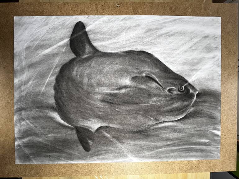 Original Contemporary Fish Drawing by Elena Semina