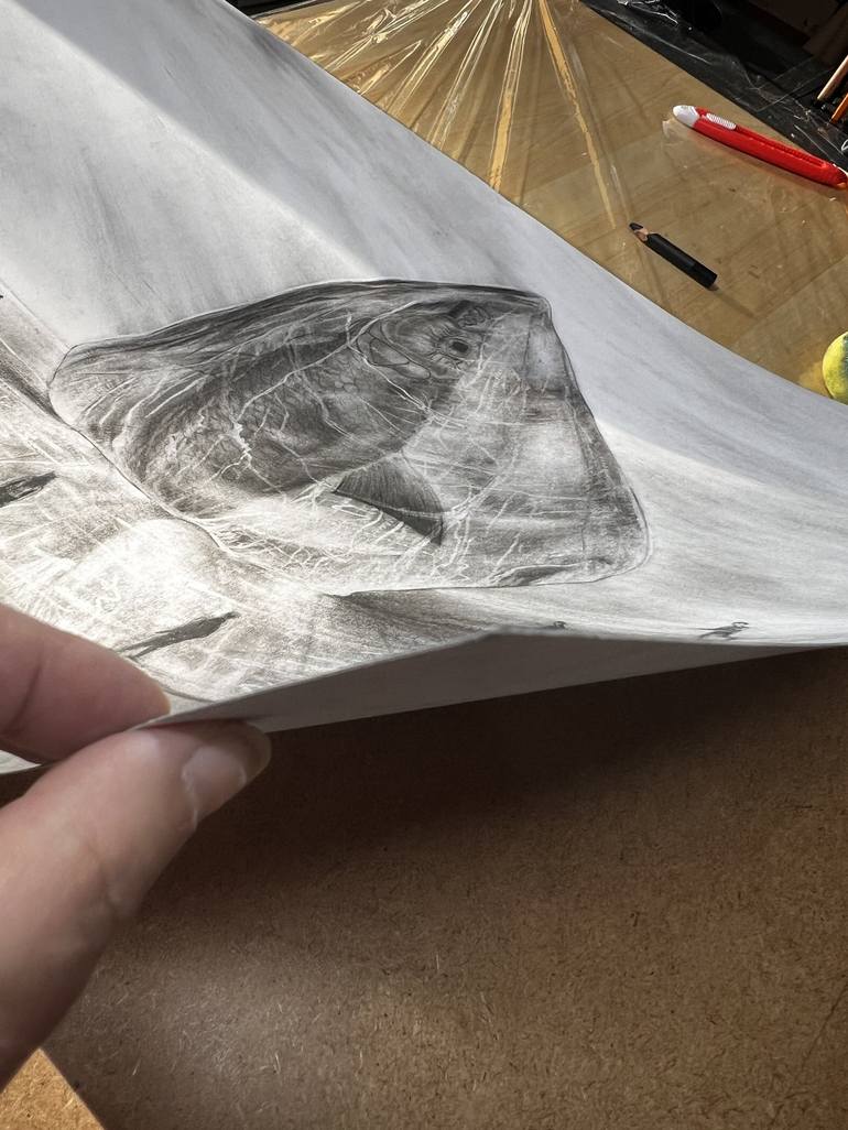Original Conceptual Fish Drawing by Elena Semina