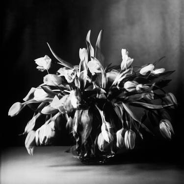 Original Conceptual Floral Photography by Susanna Kraus