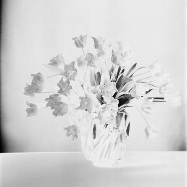 Original Floral Photography by Susanna Kraus