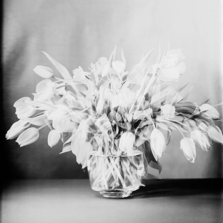 Original Floral Photography by Susanna Kraus