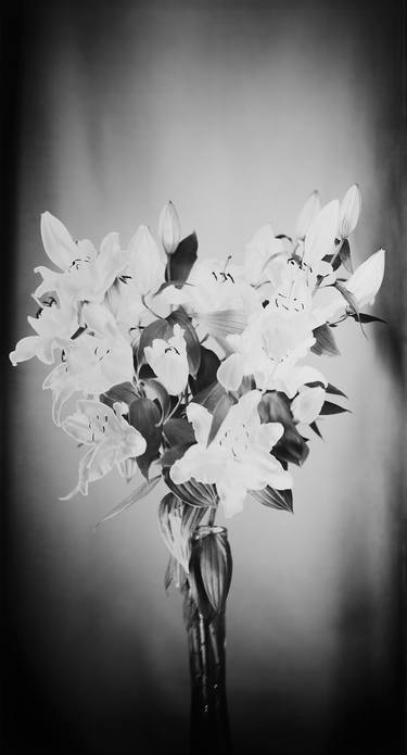 Original Conceptual Floral Photography by Susanna Kraus