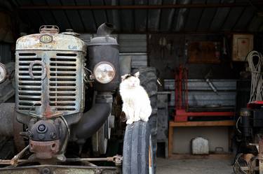 Print of Motor Photography by Giuseppemaria Cavallo