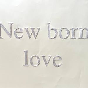 Collection Flag of Chicago