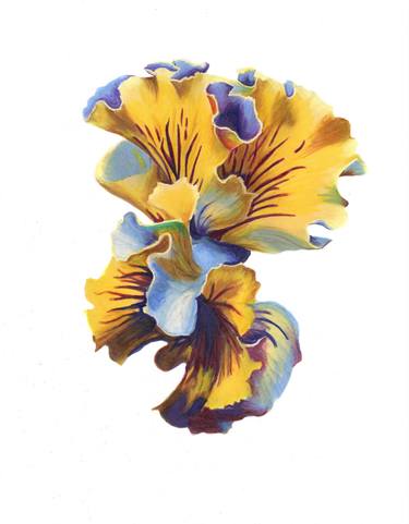 Original Realism Botanic Printmaking by Maria Suarez