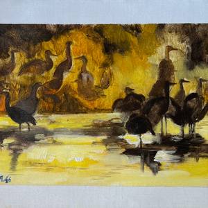 Yellow Birds