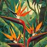 Collection Bird of paradise plants