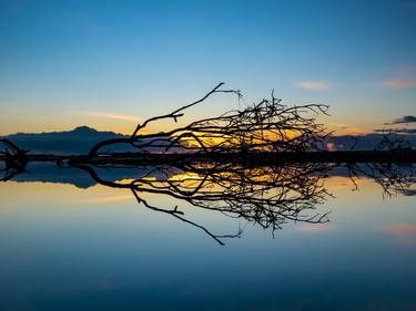 Original Fine Art Beach Photography by Barney Maple