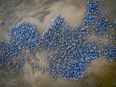 Sandy Soldiers thumb