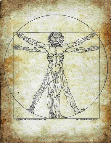 Leonardo Da Vinci Vitruvian man thumb