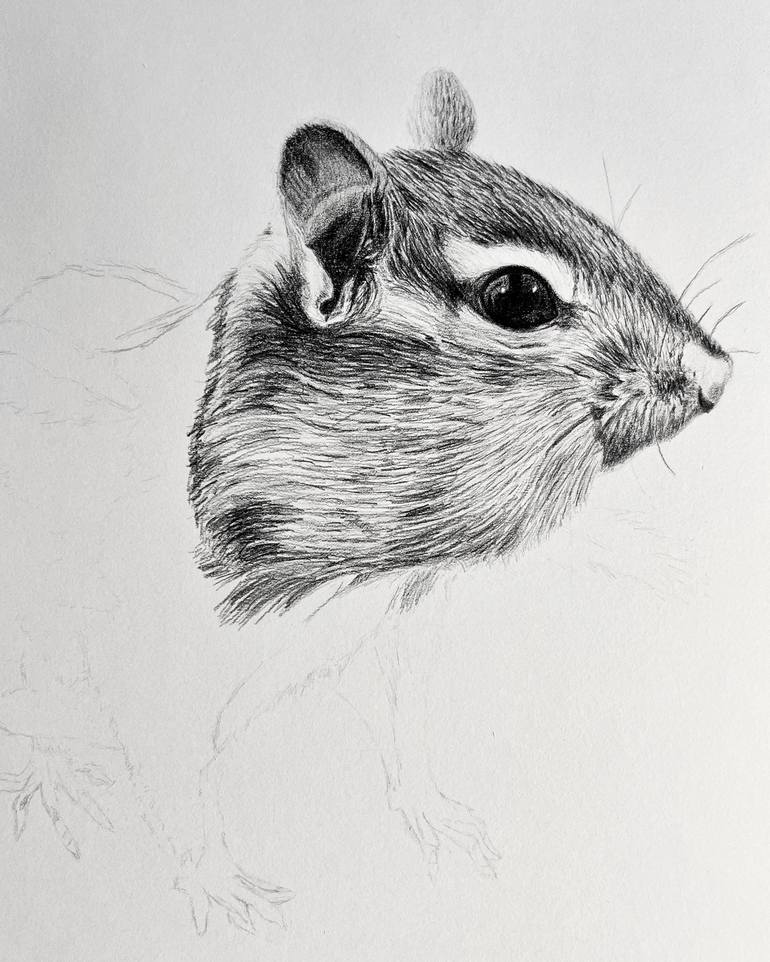 Original Realism Animal Drawing by Jessica Lauren