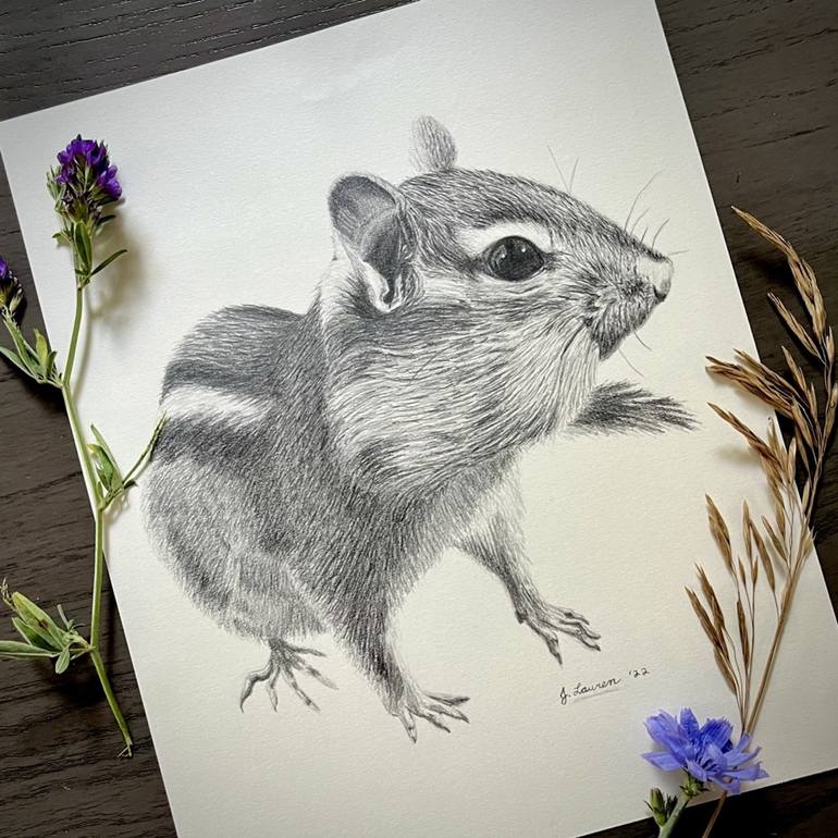 Original Realism Animal Drawing by Jessica Lauren