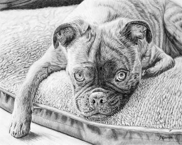 Original Realism Dogs Drawings by Jessica Lauren