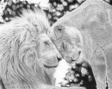 Original Realism Animal Drawings by Jessica Lauren