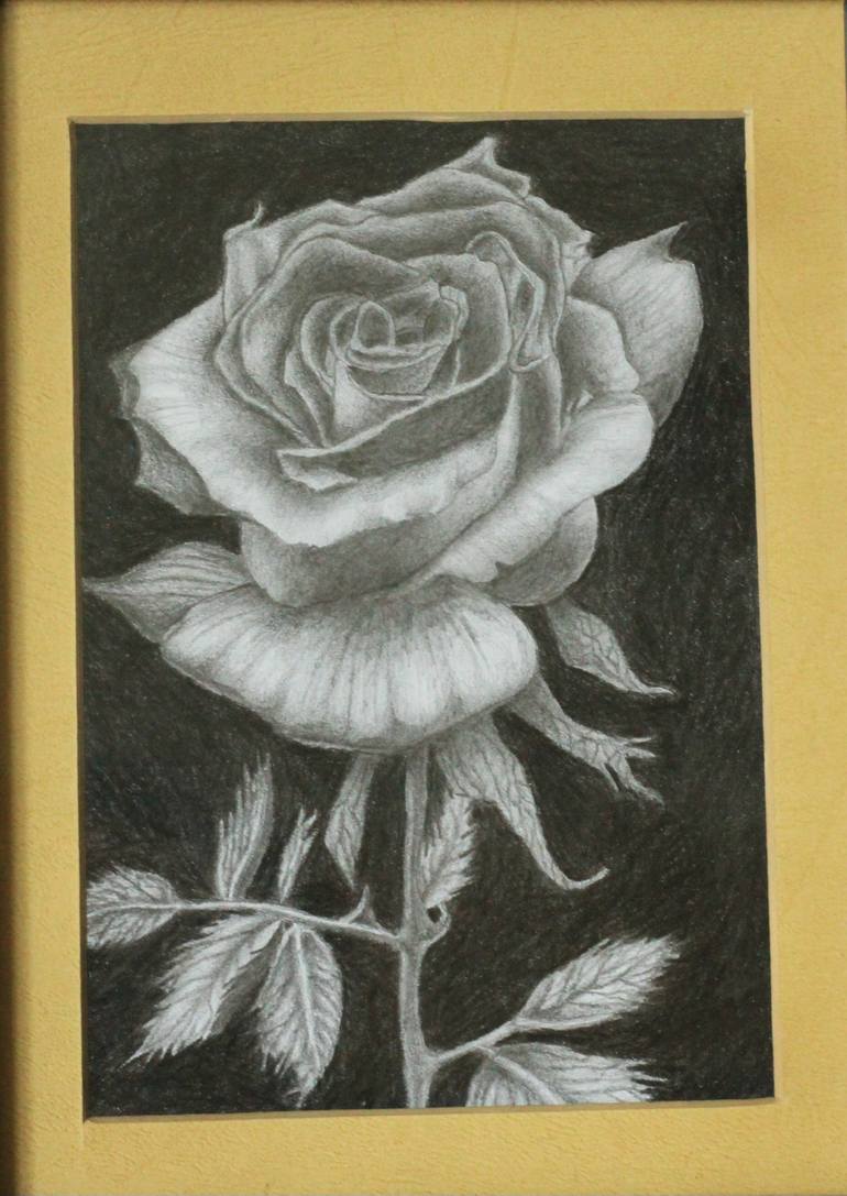 Original Realism Floral Drawing by Shabriri Art