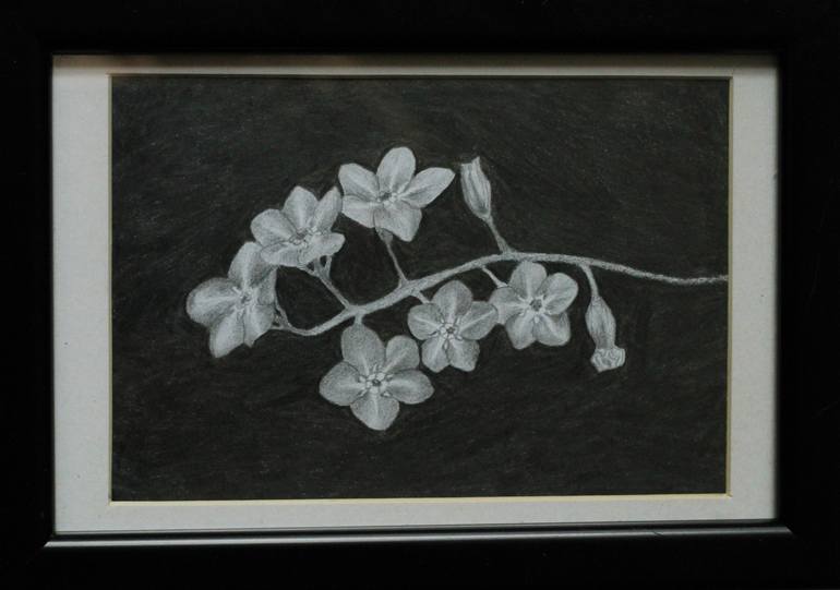 Original Realism Floral Drawing by Shabriri Art