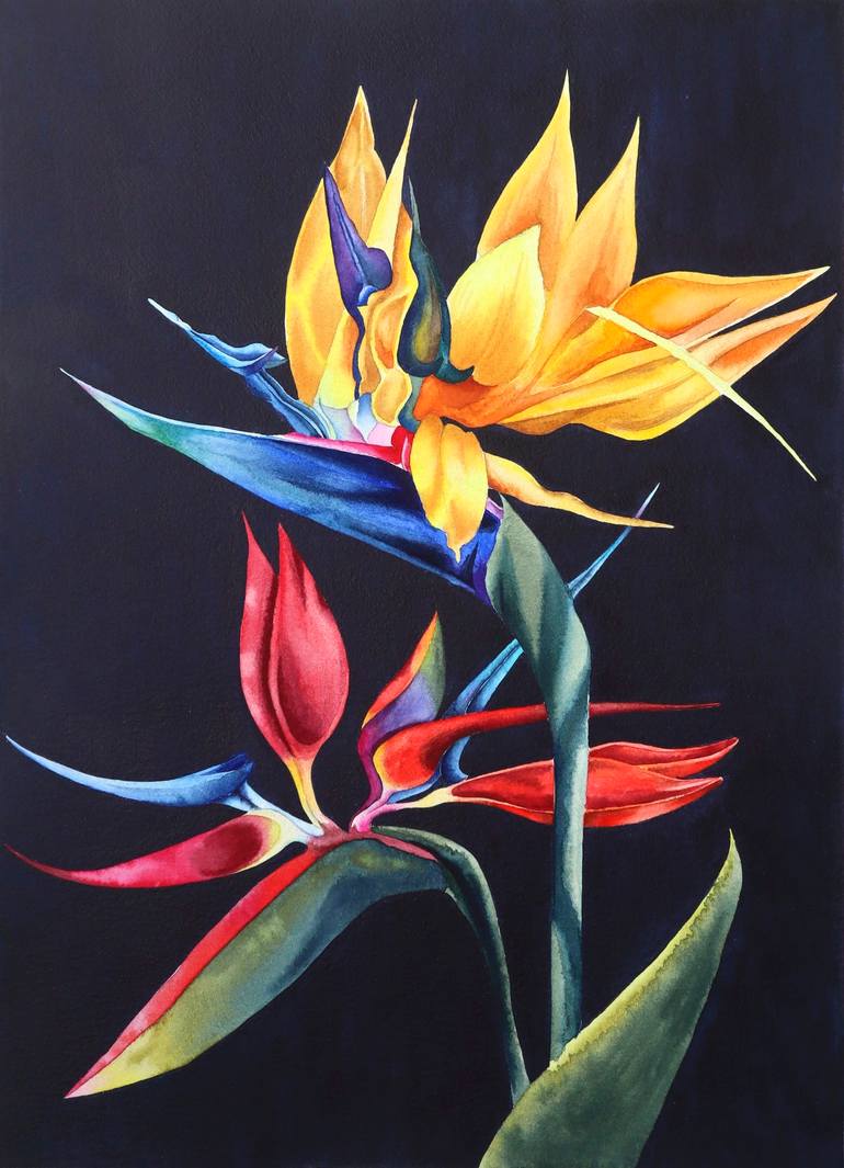 Ұсқынсыз әйелдердің жалаңаш суреттері Эротикалық фотомодельдер (тек қыздар)