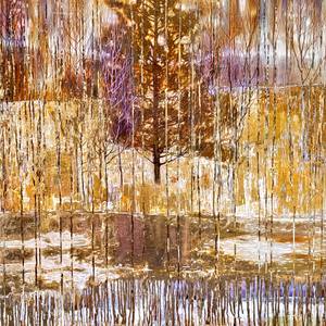 Autumn forest gold