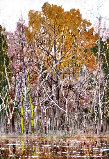 Print of Fine Art Tree Paintings by Kristine Kvitka