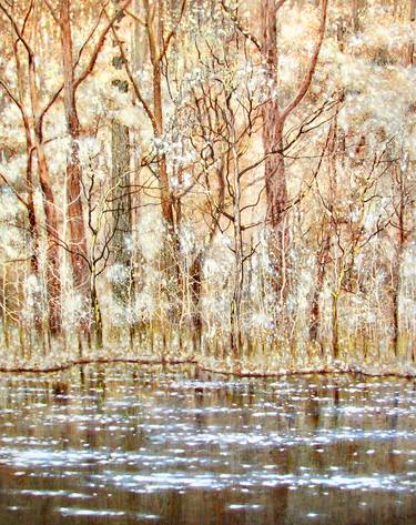 Print of Fine Art Tree Paintings by Kristine Kvitka
