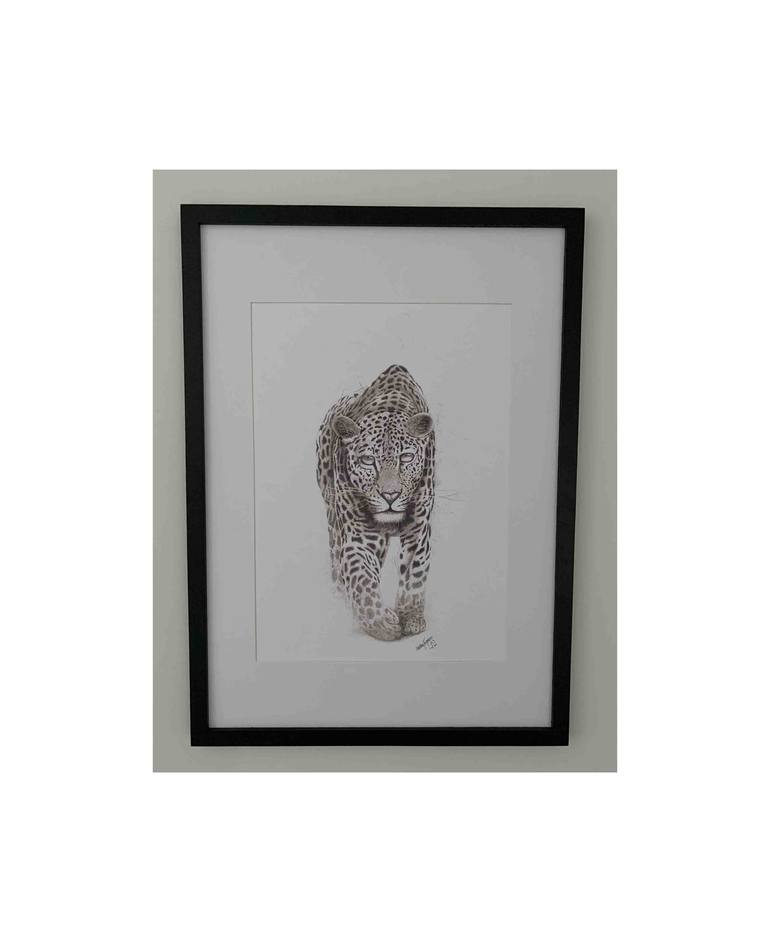 Original Other Animal Drawing by Matthew Jurgensen