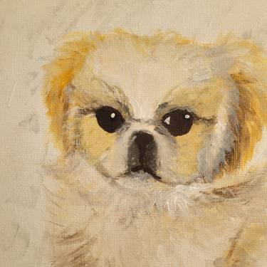 Original Dogs Paintings by Jacot Cristian