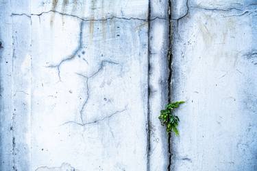 Print of Abstract Wall Photography by Peter Fasnacht