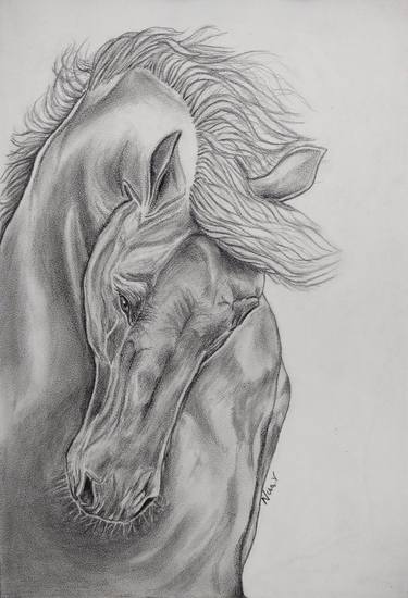 Original Horse Drawings by NISA V