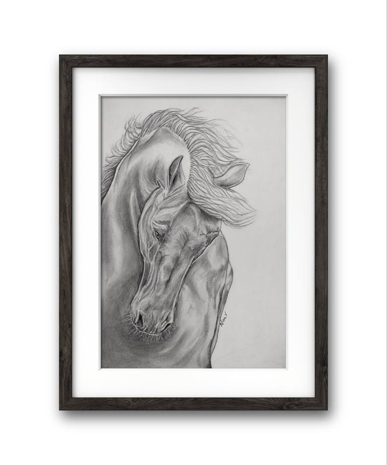 Original Realism Horse Drawing by Nisa V