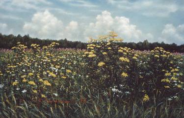 Field with tansy bushes. Ozeritsy.  Cardboard. Pastel. thumb
