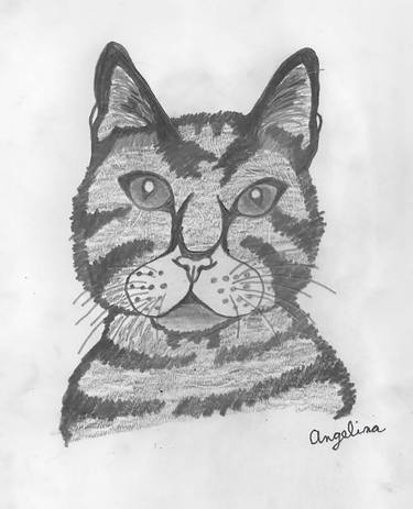 Original Expressionism Cats Drawings by Angelina Vasas