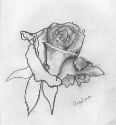 The Sketchy Rose thumb