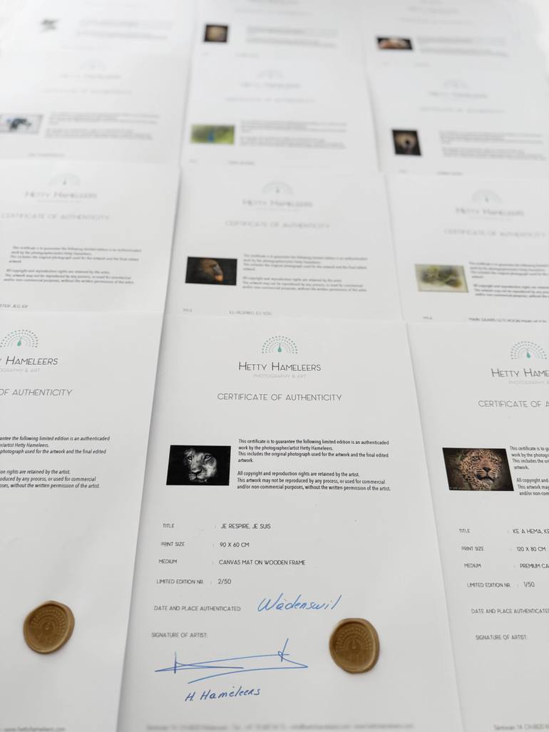 Original Contemporary Animal Photography by Hetty Hameleers