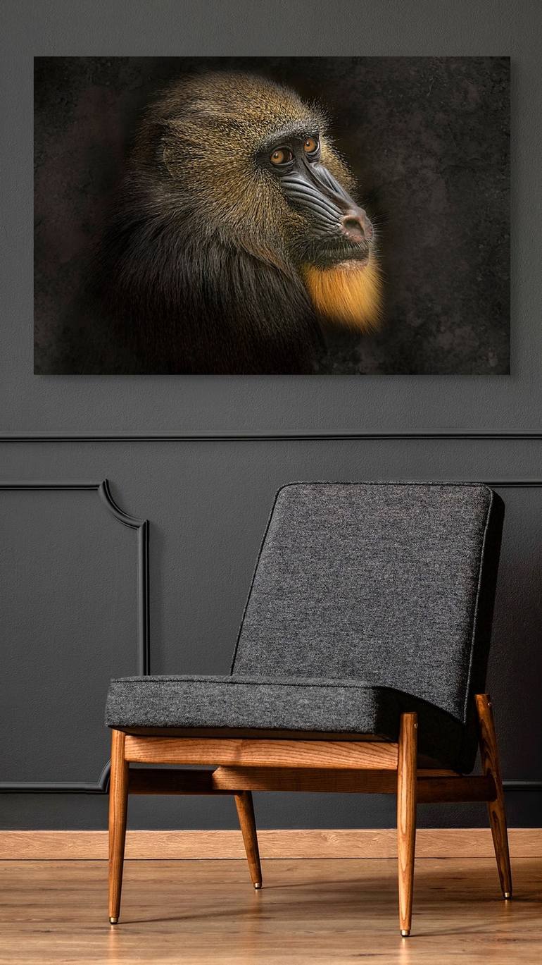 Original Contemporary Animal Photography by Hetty Hameleers