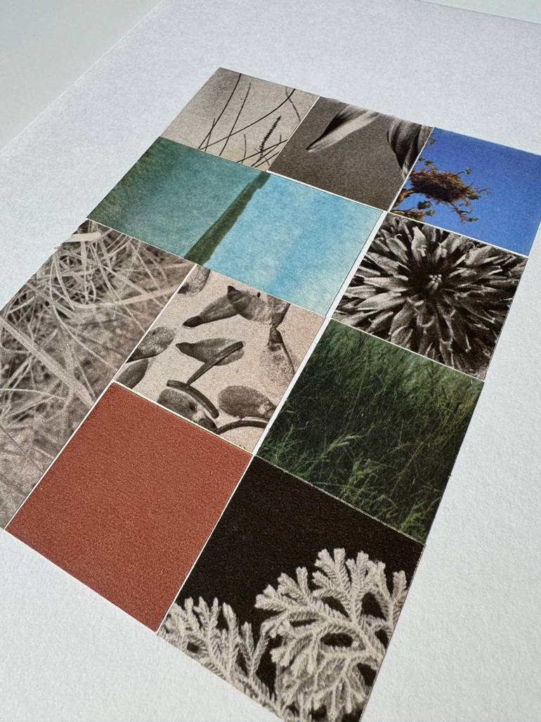 Original Abstract Botanic Collage by Alisa Galitsyna