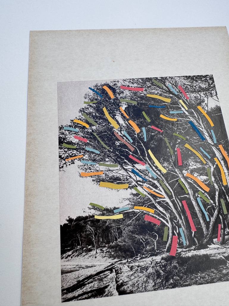 Original Black & White Landscape Collage by Alisa Galitsyna