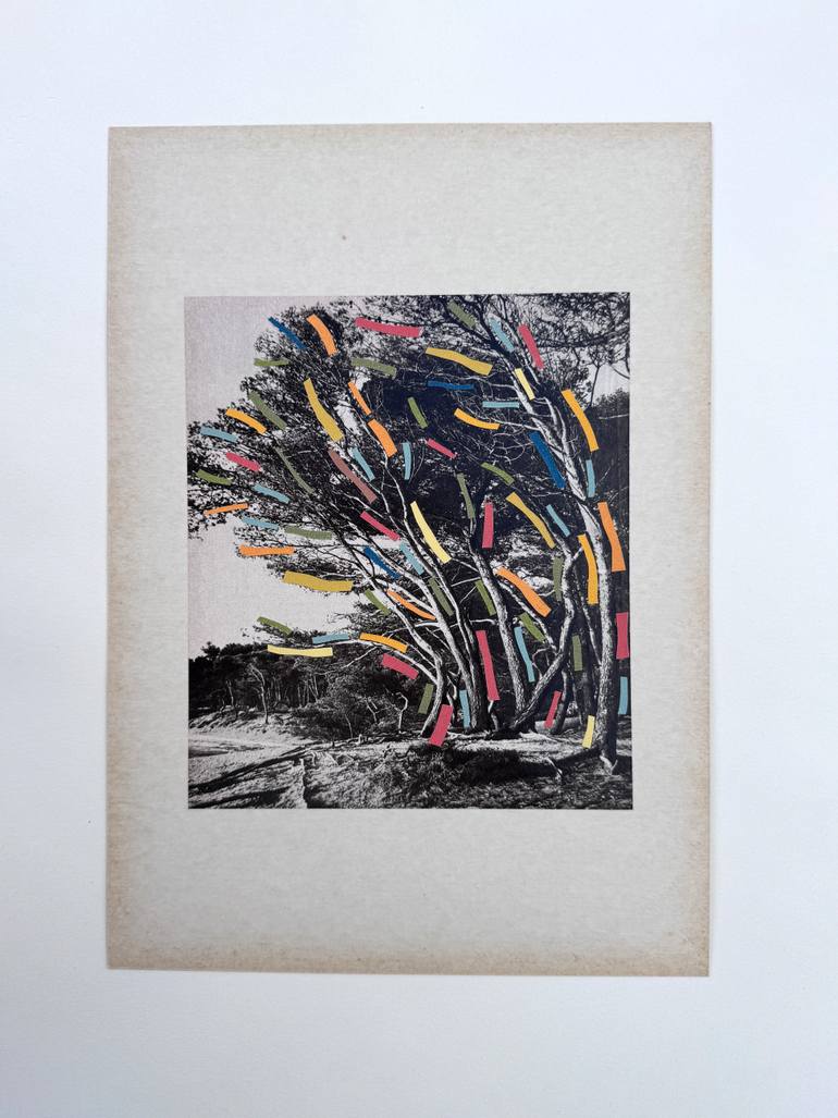 Original Black & White Landscape Collage by Alisa Galitsyna