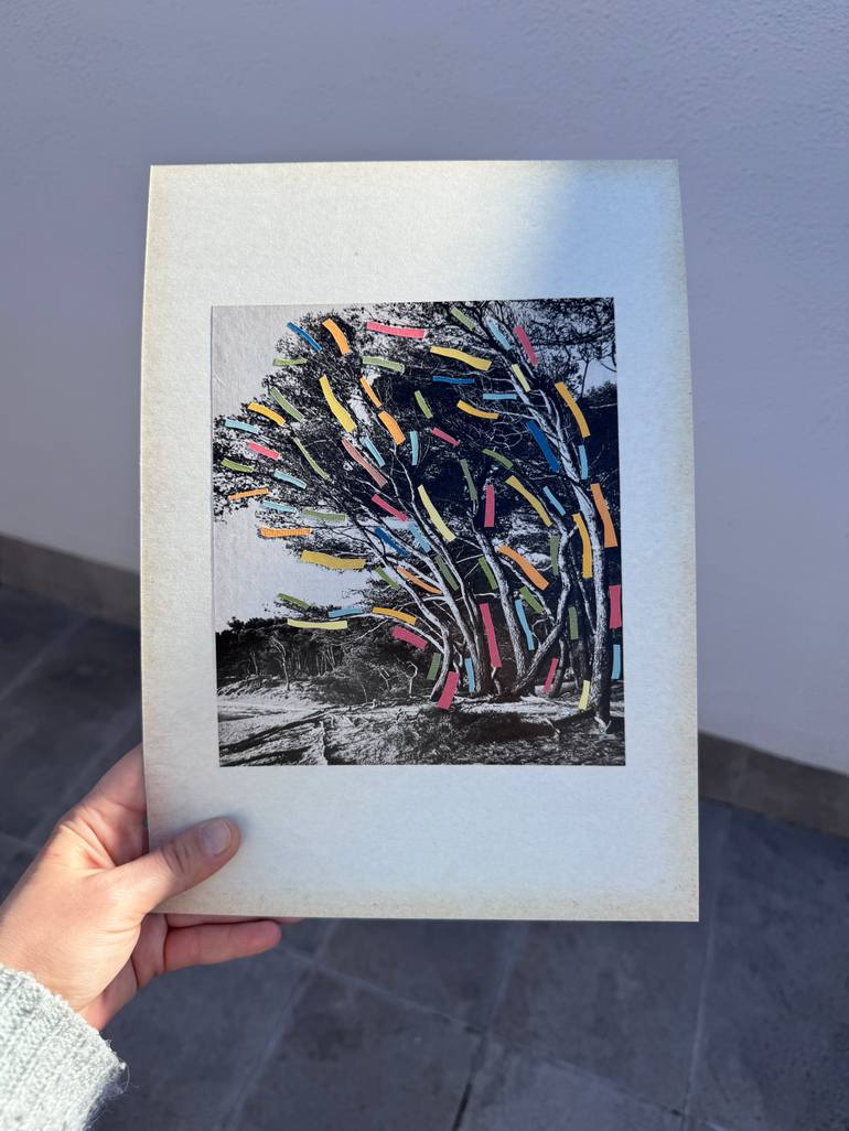 Original Black & White Landscape Collage by Alisa Galitsyna
