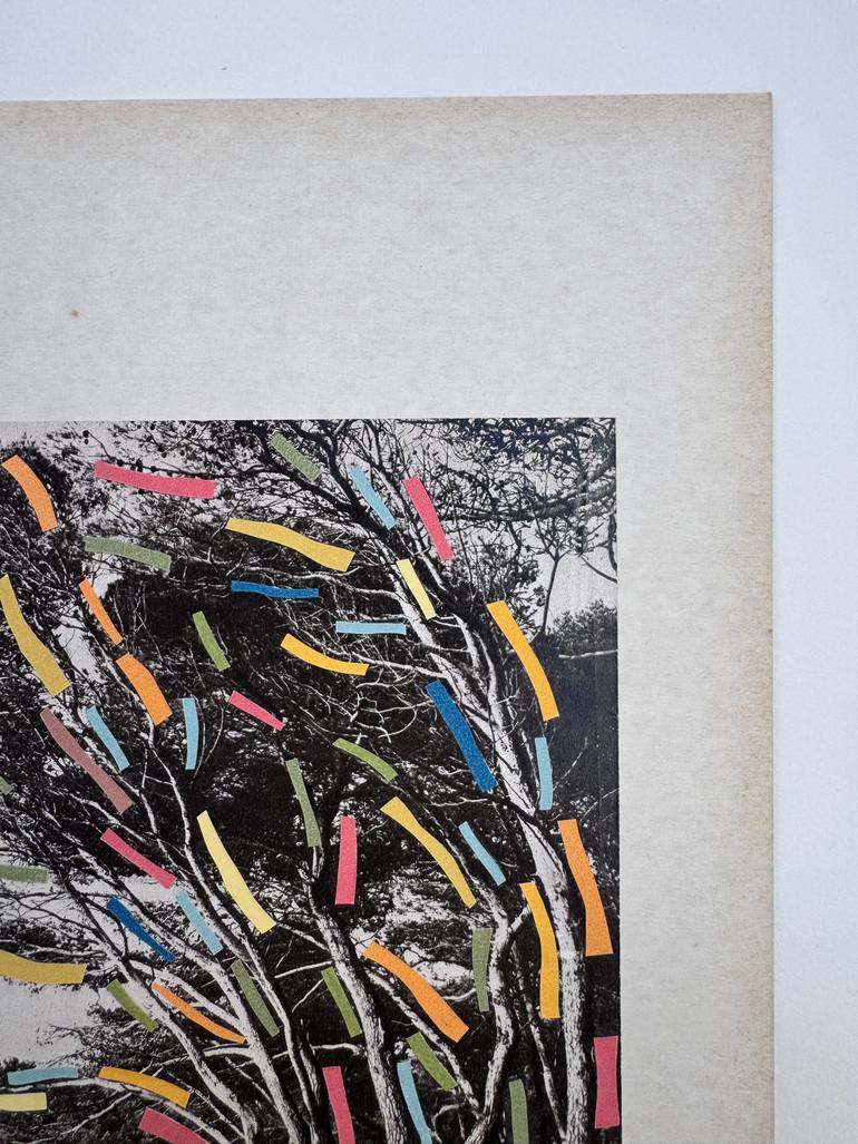 Original Black & White Landscape Collage by Alisa Galitsyna