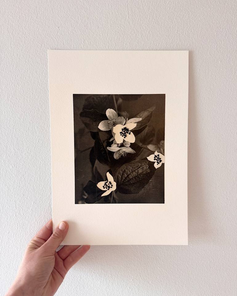 Original Black & White Botanic Mixed Media by Alisa Galitsyna