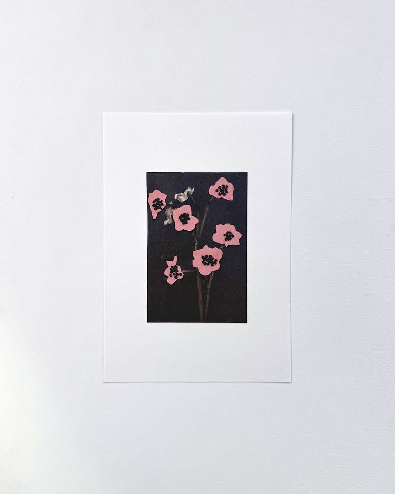 Original Contemporary Botanic Mixed Media by Alisa Galitsyna