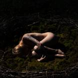 Nested by Hanna Gudjonson