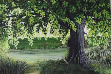 Print of Photorealism Tree Paintings by Sue Richardson