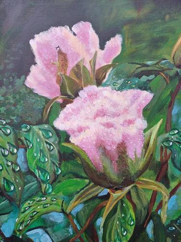 Original Botanic Paintings by Oksana Masiutkina