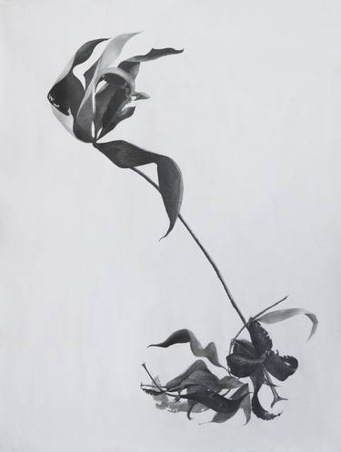 Print of Figurative Floral Drawings by Ángela María Lozano Rivera